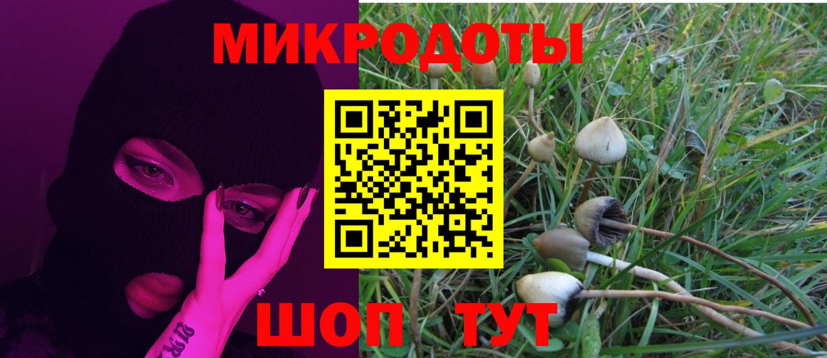 Кудрово  Псилоцибиновые грибы Magic Shrooms  Вход с VPN 