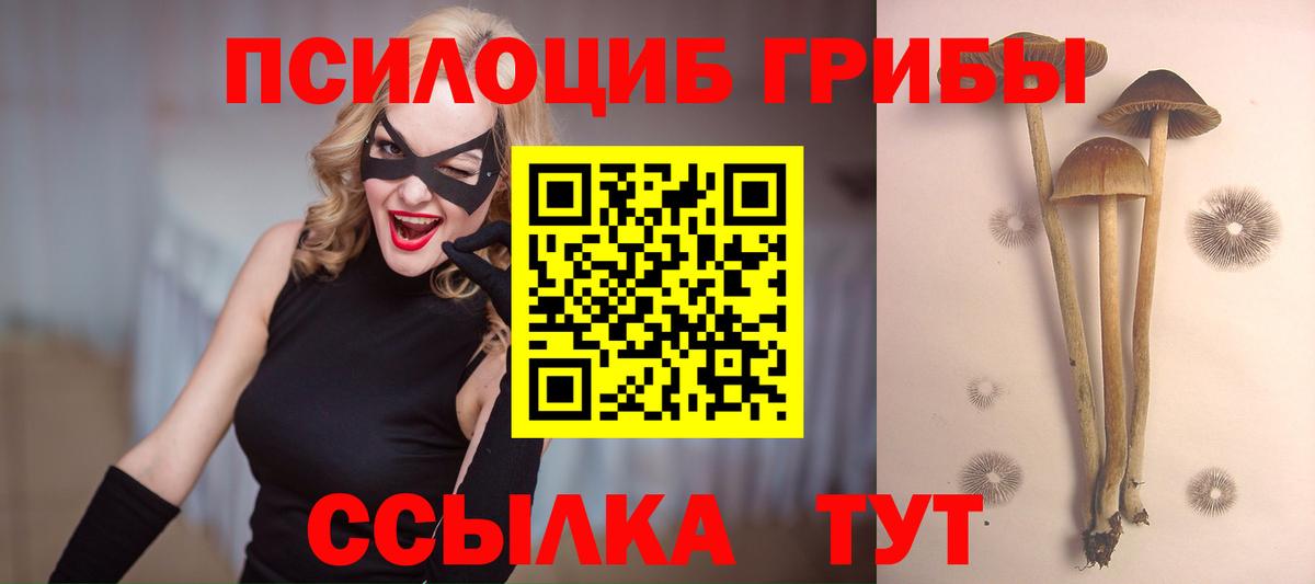 Псилоцибиновые грибы ЛСД Кудрово